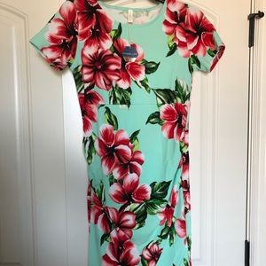 New Pink Blush Mint Green Fitted Maternity Dress